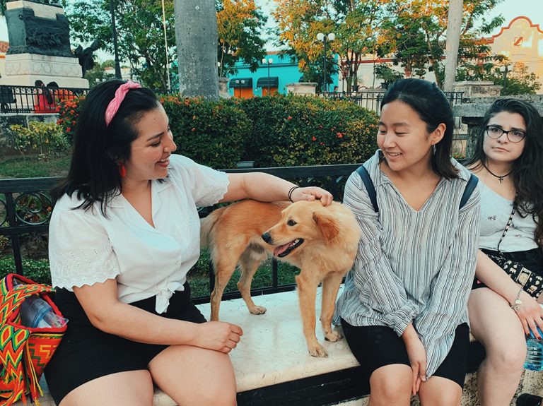 Photograph of three women, one petting a dog