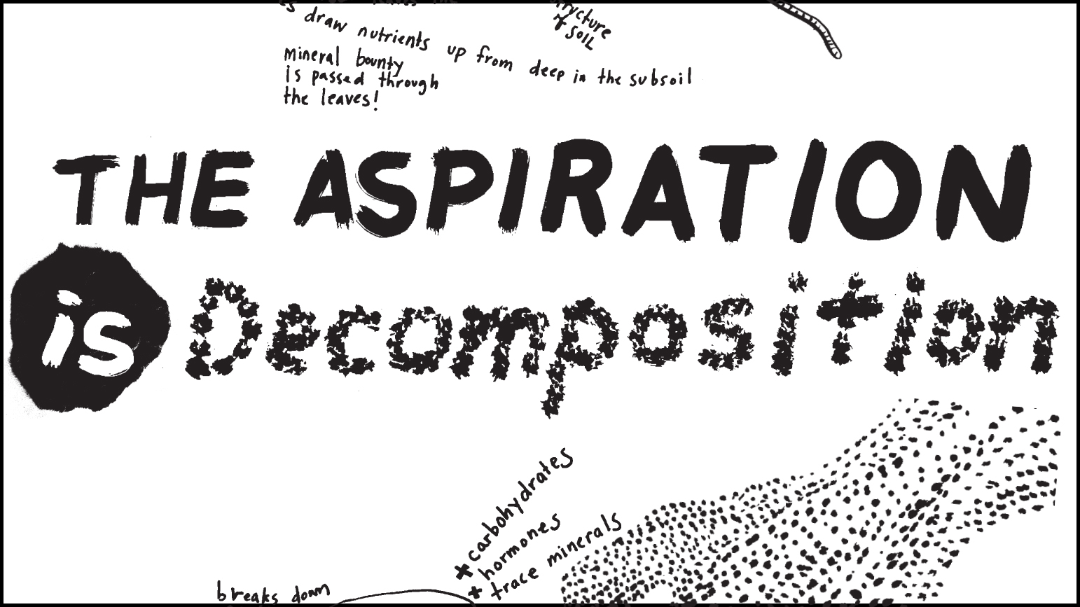 Hand drawn words in black "The Aspiration is Decomposition"