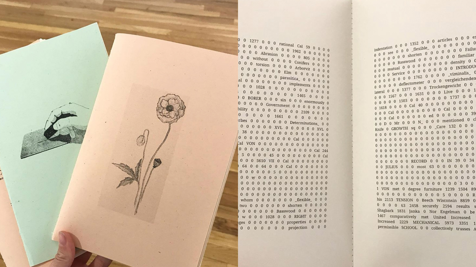 Two images of zines, one showing the cover, and the other showing the text inside