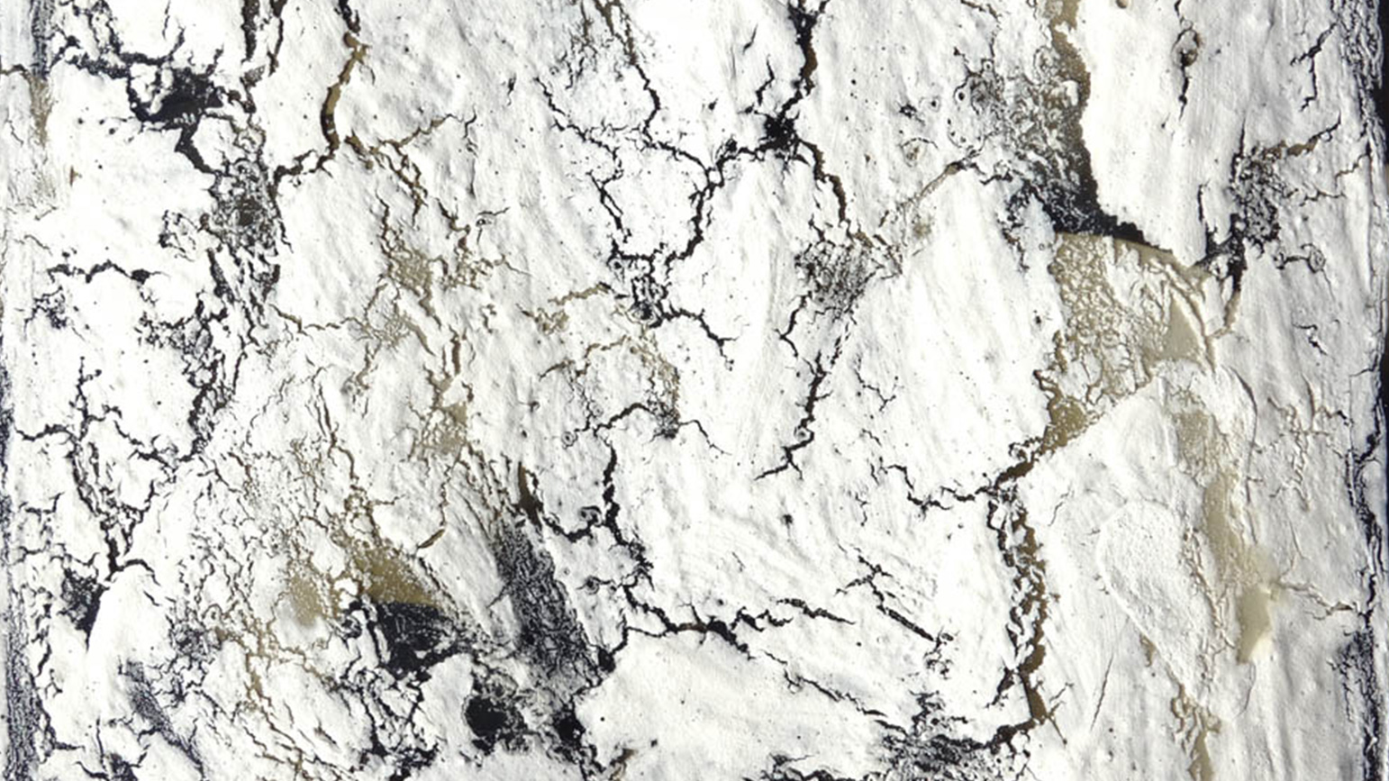Abstract painting of an image almost entirely covered in chalky bone meal