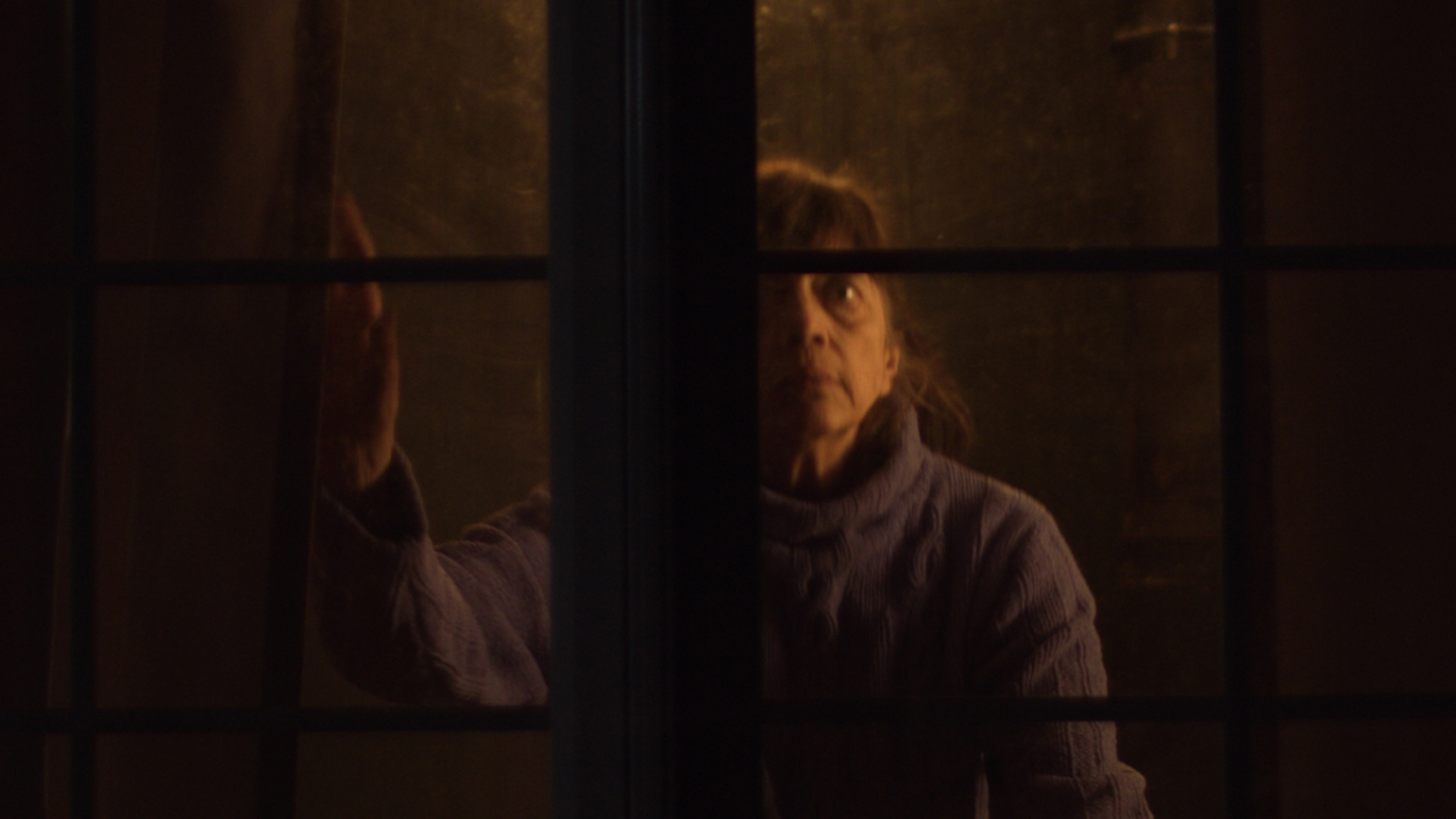 Still from "Blue Diane" of a woman looking out a dark window